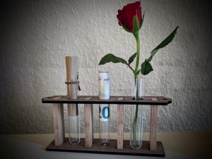 Blumenständer / Geldscheingeschenk / Aufbewahrung Glückwunsch - Die ideale Datei um ein Geschenk mal schnell individuell zu erstellen